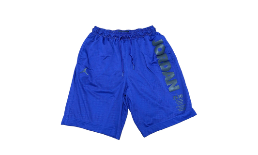 Air Jordan AJ11 Legacy Mesh Shorts "Germain Blue / Black" BQ0199 494