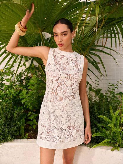 Semi-Sheer Lace Dress