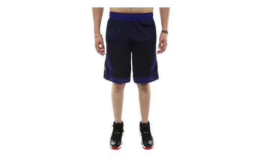 Air Jordan Rise Diamond Basketball Short "NAVY / PURPLE" 887438 416