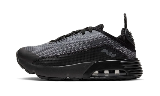 Air Max 2090 PS "Black Wolf Grey" CU2093 001