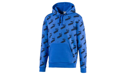 Amplified Fleece Hoodie "Palace Blue" 597247 41