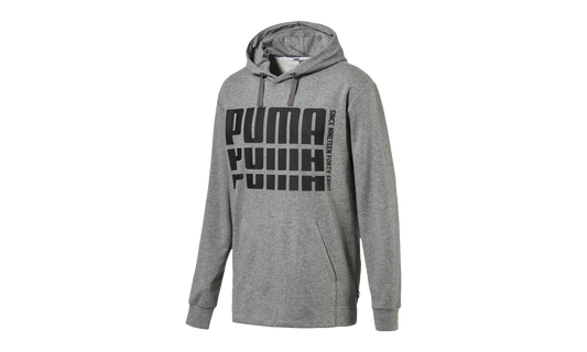 Rebel Bold Hoodie "Gray" 853390 03