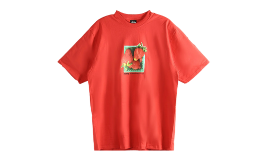 Berries Tee "CAYENNE" 1905108 CAYA