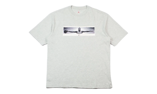 Air Jordan Wingspan Photo T-Shirt "Grey" IF5617 050